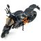 Масштабная модель мотоцикла KTM 1290 Super Duke R (1:12)