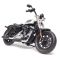 Масштабная модель мотоцикла Harley-Davidson 2018 Forty-Eight Special (Australian ver.) - 1:18